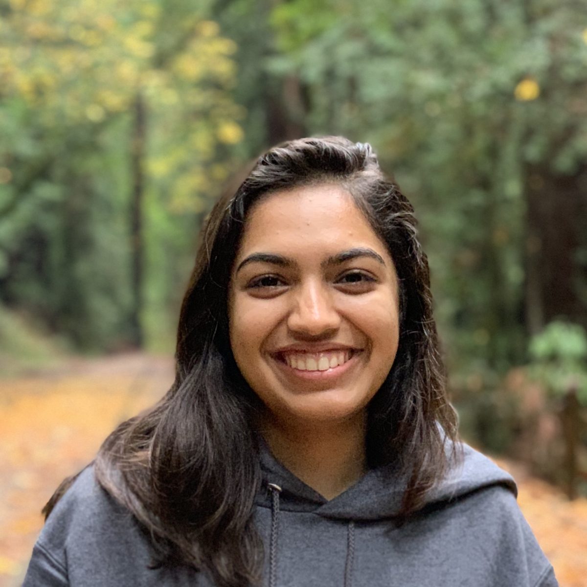 student-spotlight-avni-singhal-materials-science-engineering