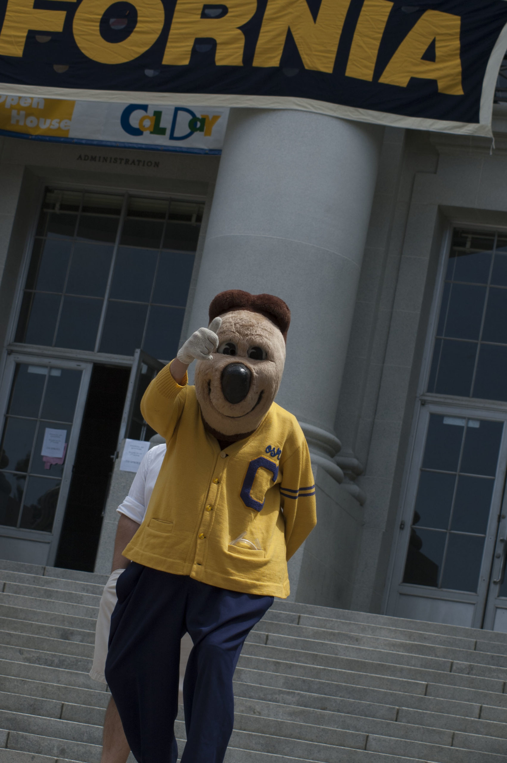 Cal Day 2006.Oski descends the Sproul steps